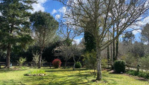 Entre Bordeaux et l'océan - Foto 5