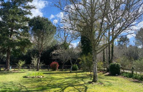 Entre Bordeaux et l'océan - Foto 5