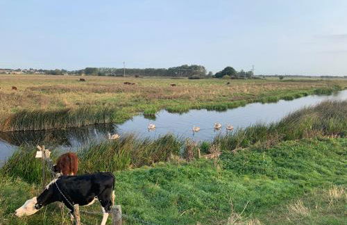 Willow Cottage at Gravel Farm - Photo 40