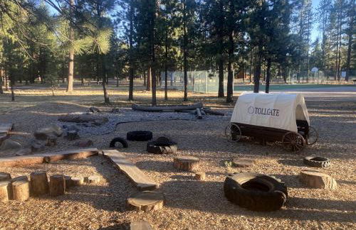 Rustic Cabin Rental near Hoodoo Ski Area and the Deschutes River in Sisters, Oregon - Foto 14