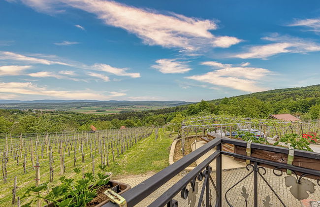 Vineyard Homestead Vrtin - Foto 13