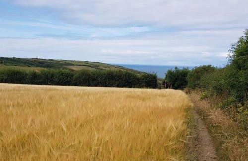 3 Bed in Bude oc-57739 - Foto 25