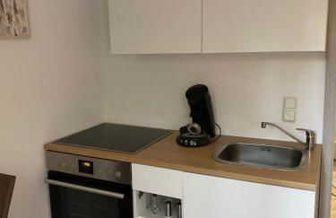 Schöne moderne renovierte Einliegerwohnung mit Terrasse - Foto 2