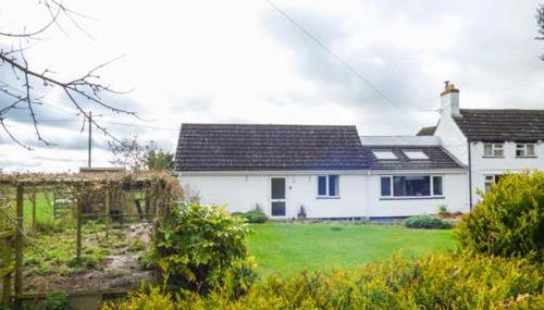 The Willows - Foto 2