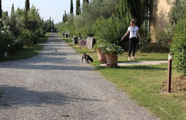 Toscana Biovillage - Cottage con Vasca Idromassaggio solo su Richiesta - Foto 49