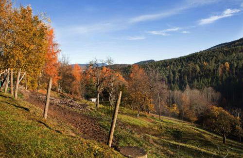 Gîte du Pré au Miel en plein coeur de l'Alsace - Foto 35