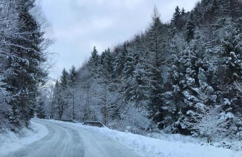 Gorczańska Przystań - Foto 71