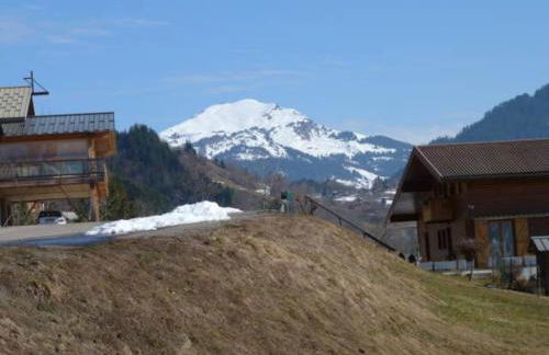 T1 Proche Grand Bornand Et Lac - Foto 1