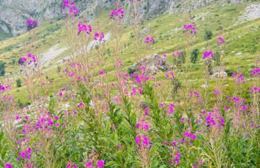 Studio Piccola Renna - Foto 45