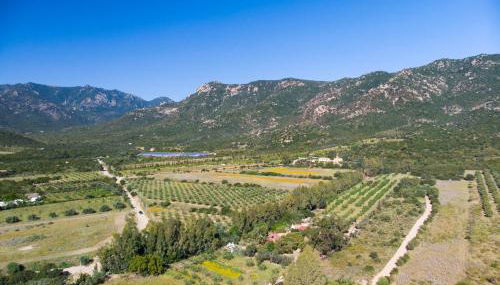 Su Pinnettu Casa Vacanza - Foto 2