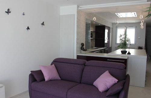 Appartement 3 pièces Nice Promenade des anglais dernier étage vue mer solarium - Foto 29
