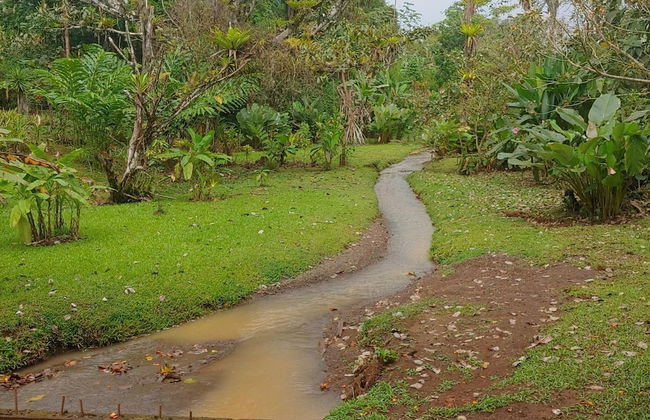 Jaco-carara 3 Bdrm Surrounded by Rainforest With Private Pool - Foto 28