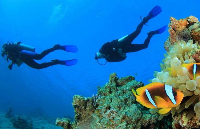 Red Sea Beginner Scuba Diving and Snorkeling - Photo 8