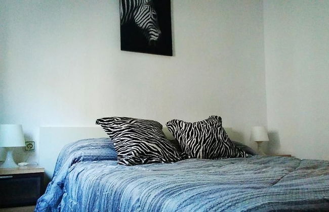 Plaza los Naranjos - Foto 2