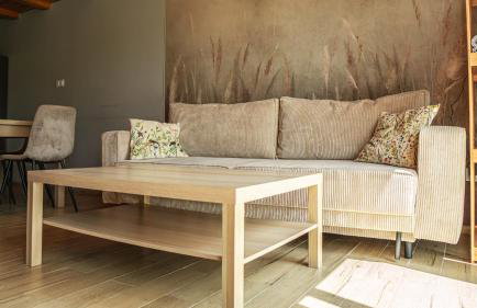 Domki Nad Stawami z Jacuzzi i Sauną 3 - Foto 5