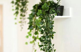 T2 Cocon Prestige Lyonnais : Sécurité Commodités - Foto 7