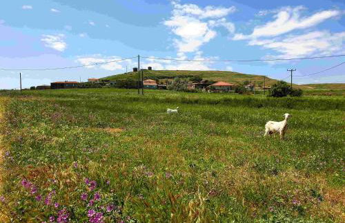 Repanidi Apartment D / Ρεπανίδι Διαμέρισμα Δ - Foto 57