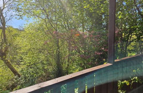 Treetops Lodge, private Cornish hideaway, parking, garden - Foto 21