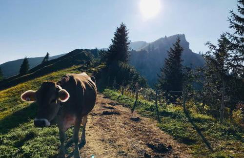 Ferienwohnung Balkonien - Foto 79