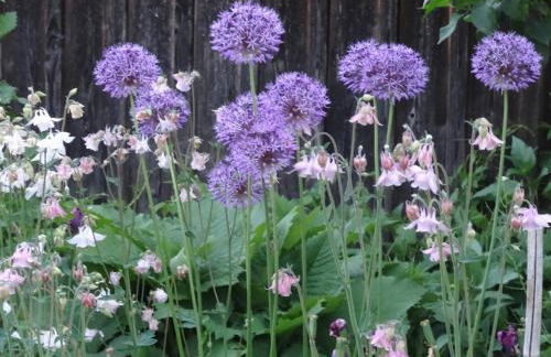 Ferienwohnung Bei der Töpferei - Photo 25