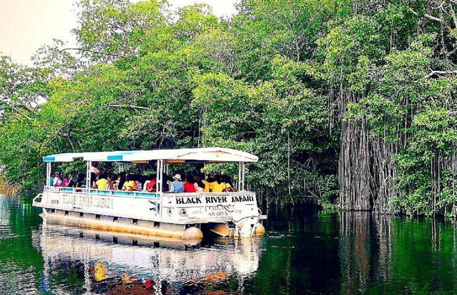 Chukka Appleton Estate, Black River Safari y tirolesa sobre YS Falls - Negril - Foto 5