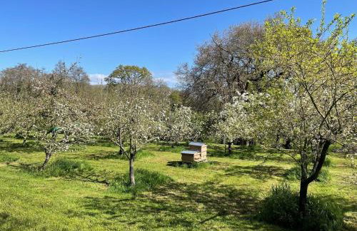 The Coach House Annexe - Foto 13