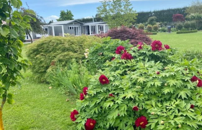 Amuri Villas - Foto 28