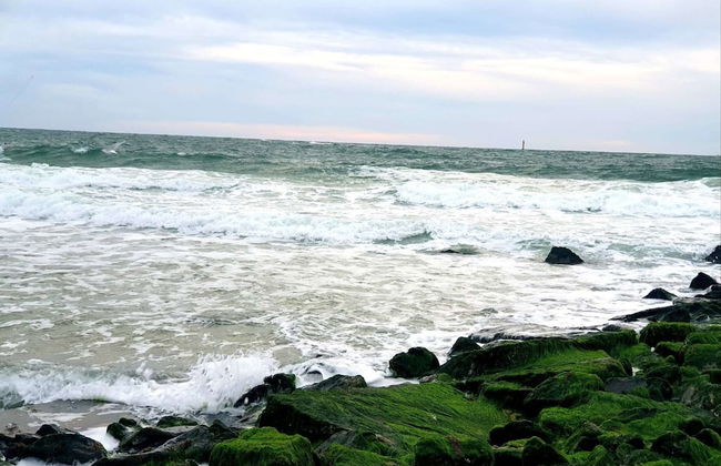 Appartement in Westerland auf Sylt - Foto 22