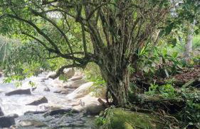 Vivendas Canaã - Foto 13