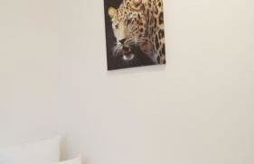 DIM Monteurzimmer Duisburg - Photo 44