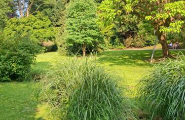 Auszeit Wunschblick - Foto 59