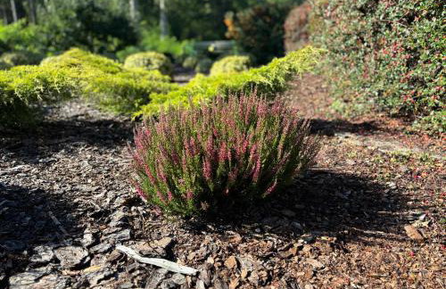 Dom wakacyjny Jaśki - Foto 45