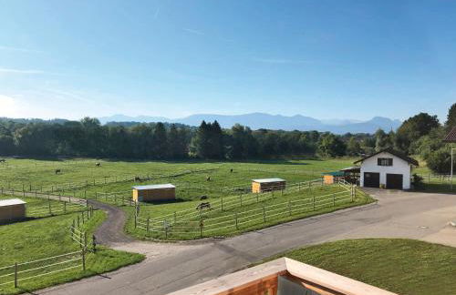 Ferienwohnungen Thum - Foto 47