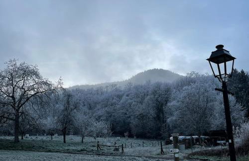 Le Relais du Piémont Ottrott - Mont Sainte-Odile- Champs du feu - Photo 34