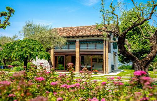 GATTO IN VIGNA - Foto 1