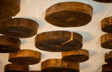 Casinha dos cinco sentidos - Photo 27