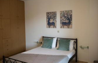 Studio Kalogridis - Foto 24