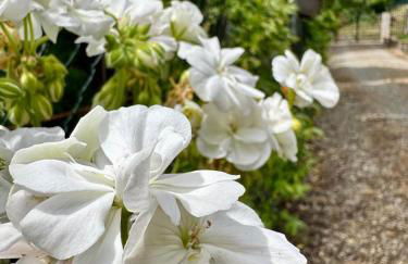 Agriturismo Tassinaia - Foto 18