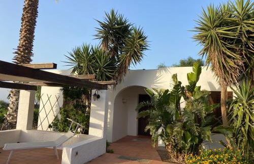 El Sagiri un'oasi nel Mediterraneo - Foto 36