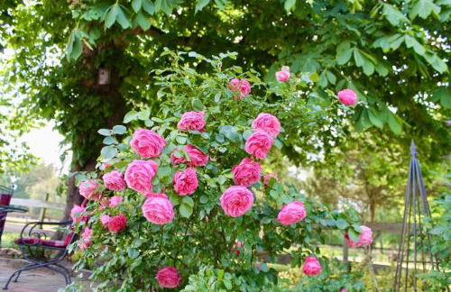 Stilvolles Landhaus mit Flair - Foto 28