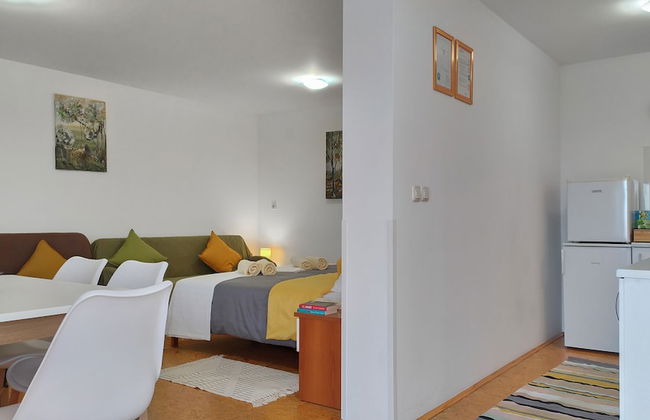 Apartments Vinska Trta - Photo 16