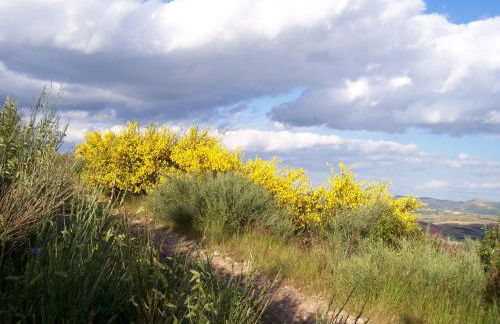 Solar de Rabal - Foto 72