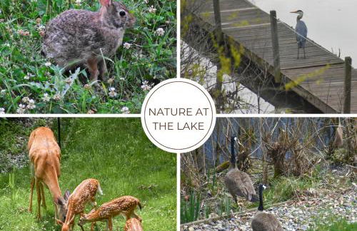 Valparaiso Lakeside Retreat King Bed, Lake Views - Foto 14