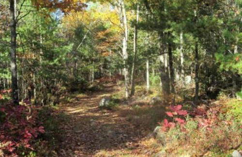 Discover Downeast Maine - Comfortable Home Base 37 - Foto 7