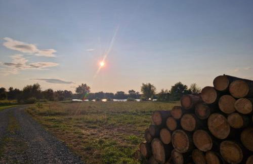 Gasthof zur Post - Foto 16