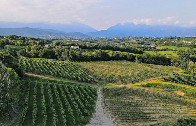 Tenuta Mani Sagge - Foto 10