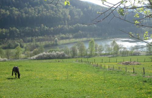 Ferienwohnung Inge Steinrücken - Foto 31