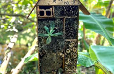 Casa Centenária com 20 min de Gramado - Foto 12