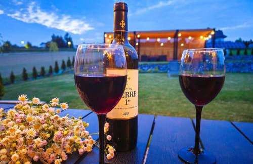 Domki Diabolina - sauna, jacuzzi, klimatyzacja, kominki - Foto 42