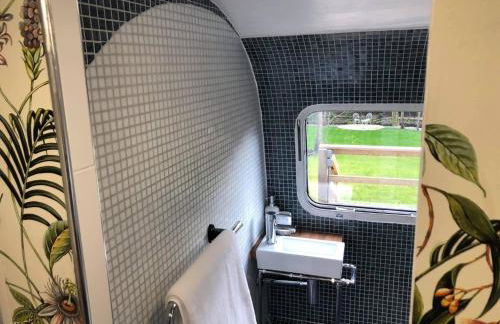Ayrshire Airstream - Foto 10
